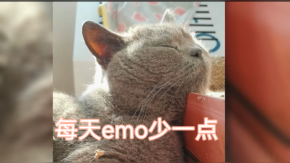 今天你emo了吗