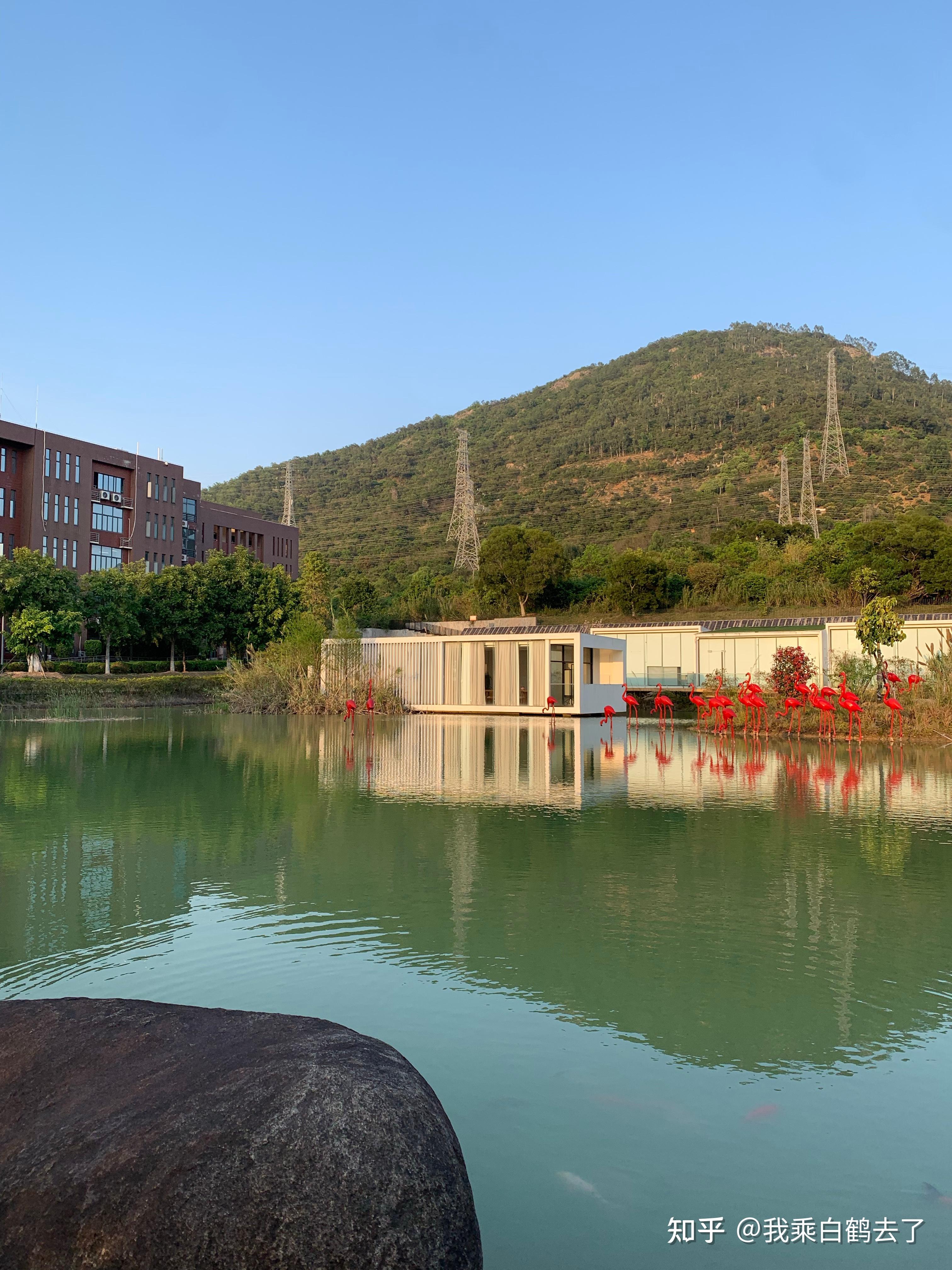 福州大学厦门工艺美术学院怎么样,好吗?