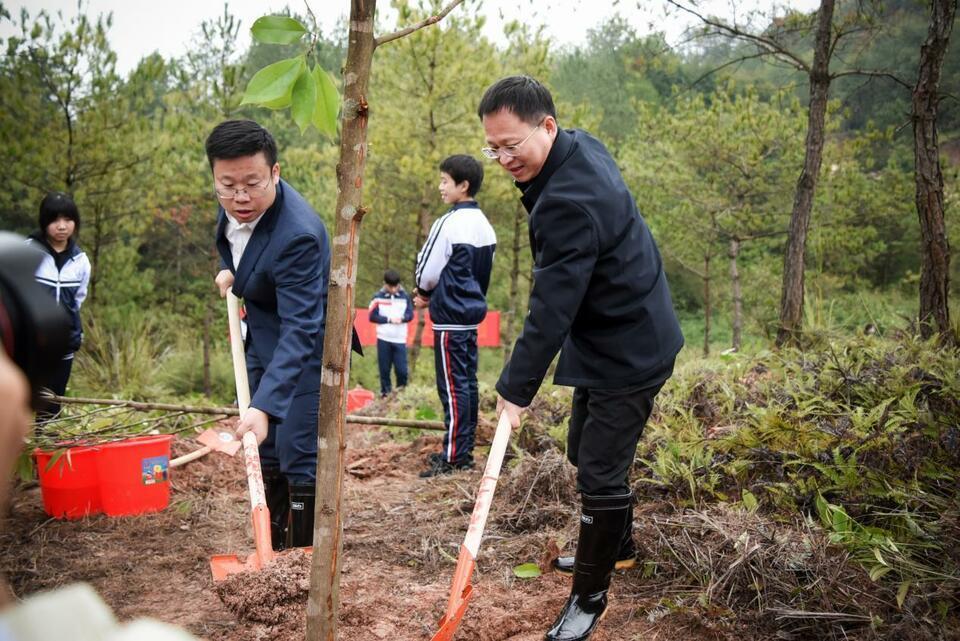 安远杨北林图片