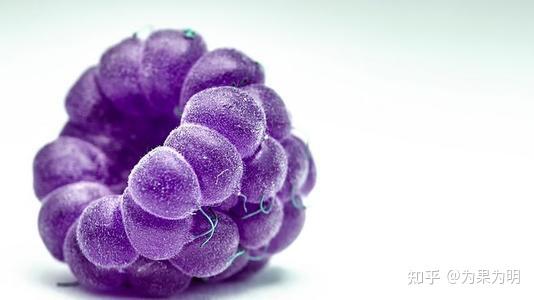 常见的紫色水果除了葡萄还有蓝莓,杨梅,桑葚,李子,山竹,无花果,百香果