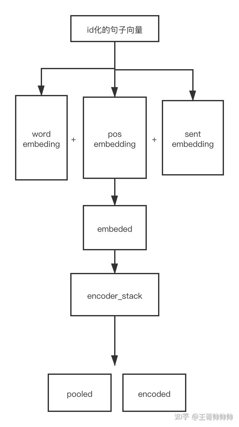 ernie模型结构初探