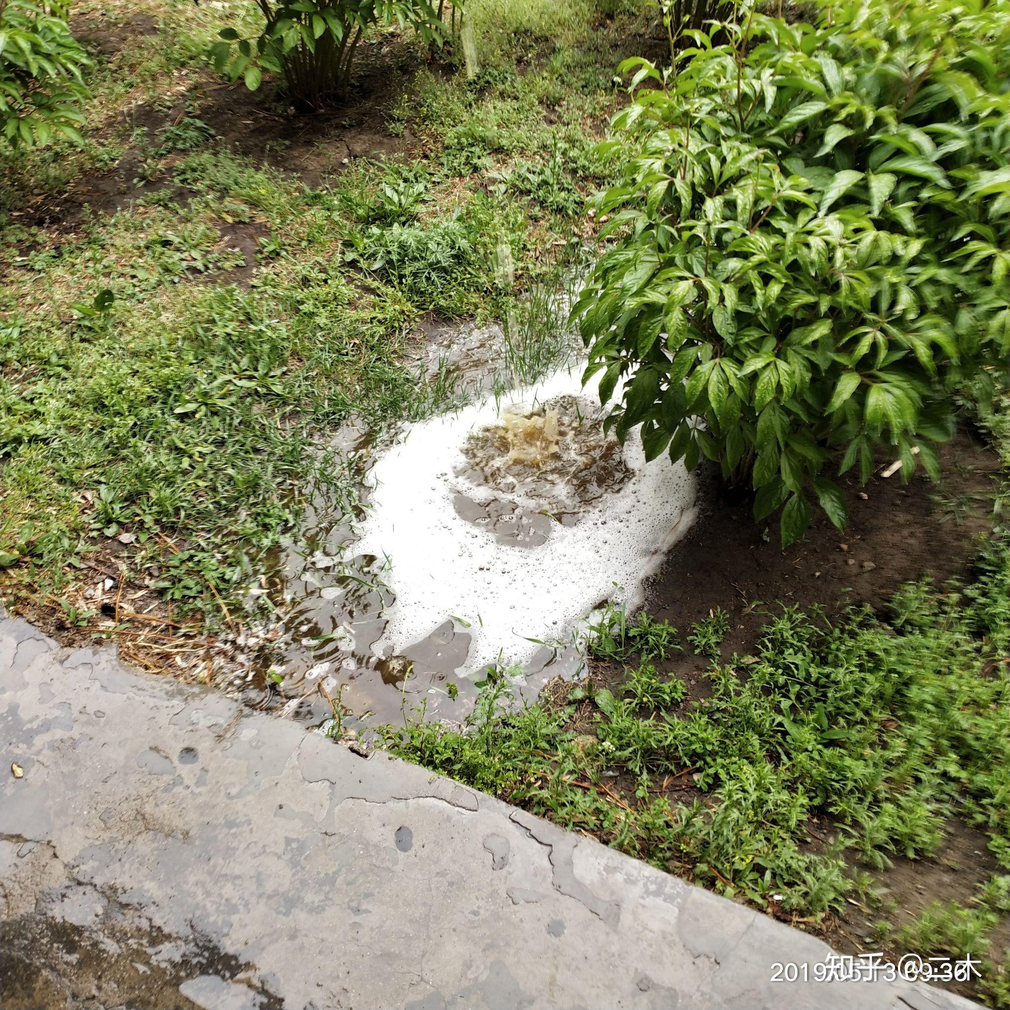 为什么北京下雨之后从楼顶上那些管道留到地面上的水里面有很多泡泡?