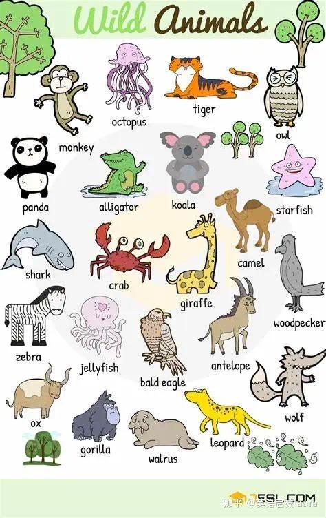 wild animalsfarm animals首先我们可以带着孩子一起认识常见的动物