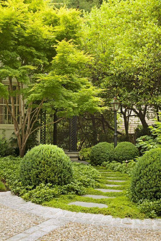 花园夏天还可以栽植植物吗? - 知乎