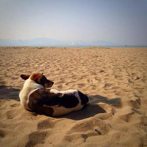 人呢,得送走多少曾经熟悉的背影,才可不偏不倚,刚好,刚好