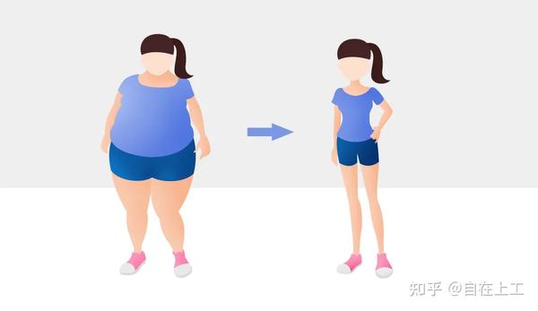 增加饱腹感,控制体重