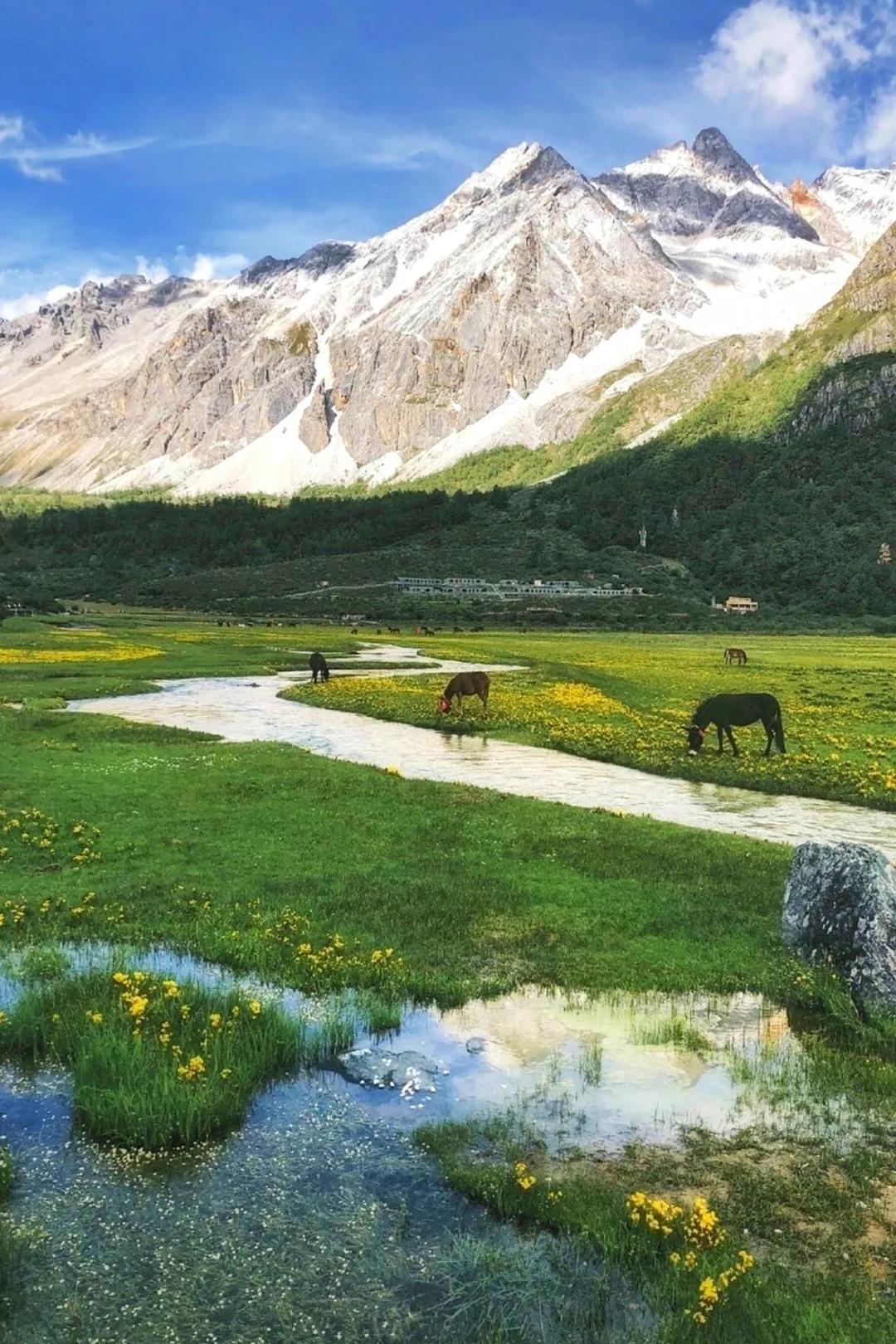 什么是稻城亚丁?去稻城亚丁应该怎么玩?-稻城亚丁攻略自由行