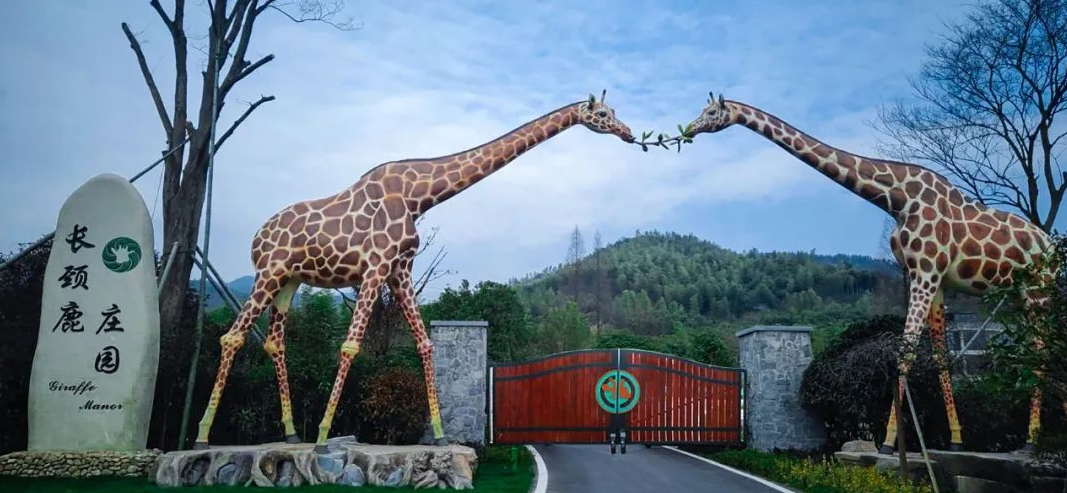 长颈鹿庄园小孩子对动物的喜爱是天生的,虽然网上很多人都说这个景点