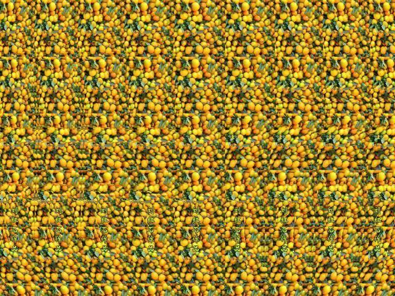 有人能看出来这种裸眼3d图吗