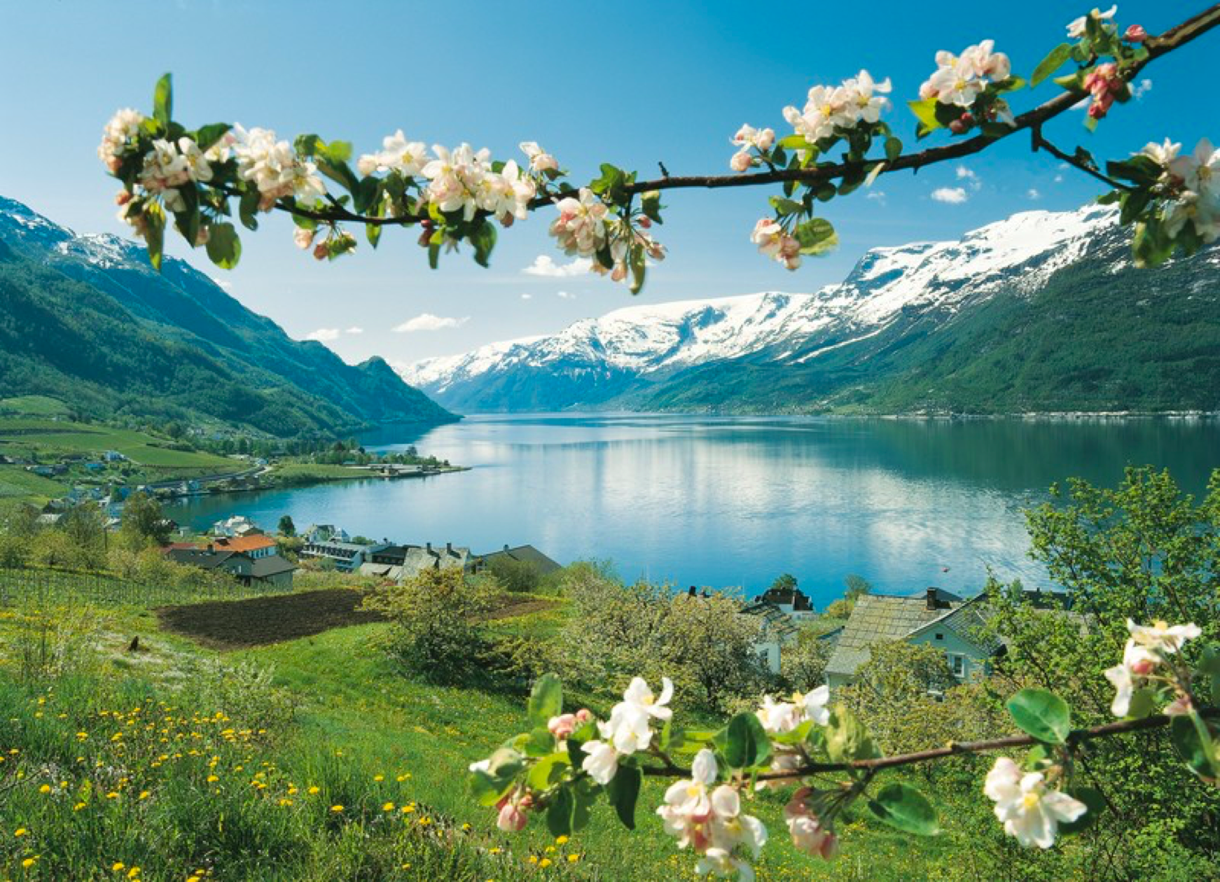 挪威没你想的那么贵 却比你想象中的样子更美！_凤凰网