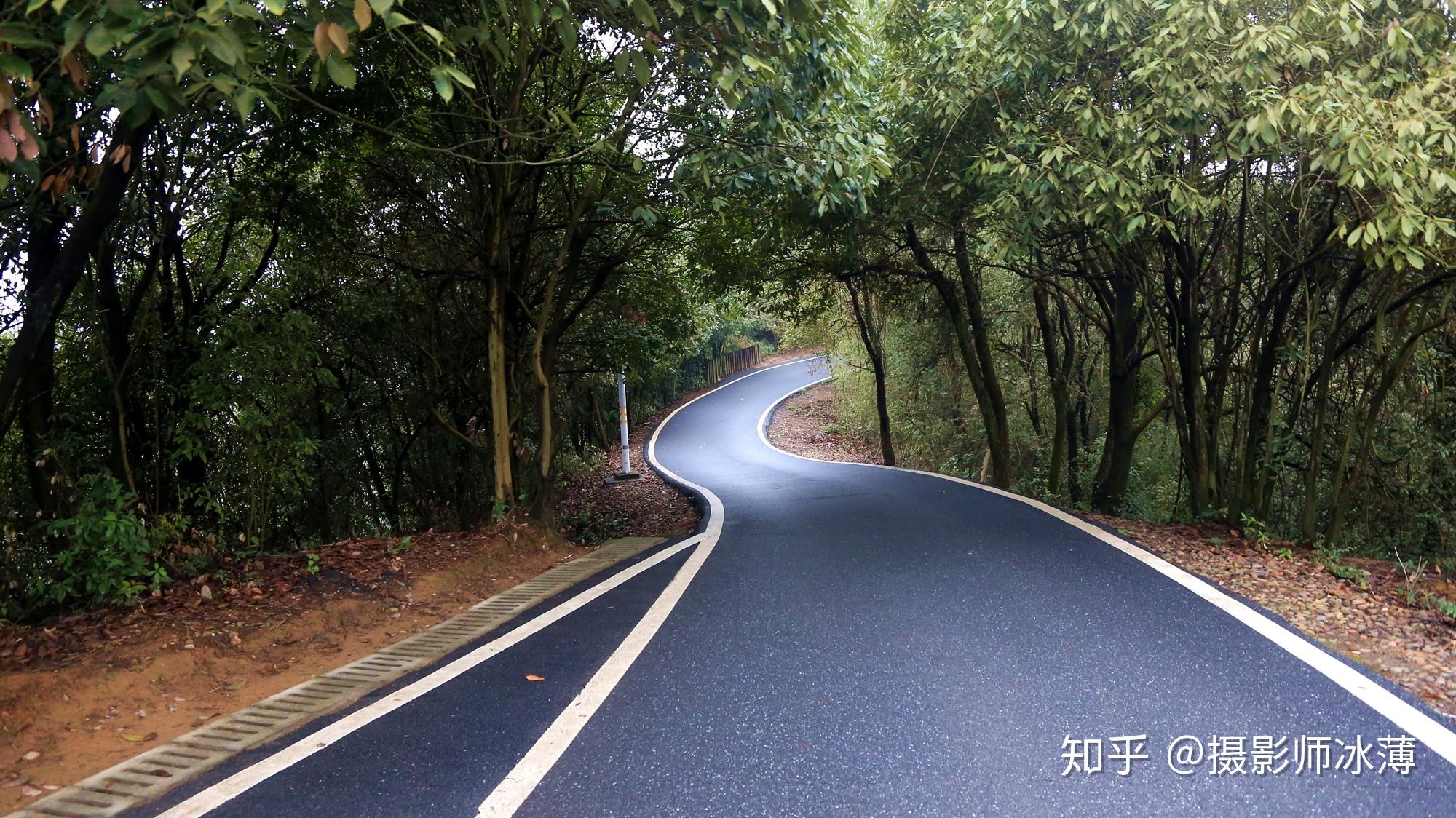 (丹霞石韻,空中草原,美麗傳說)丹霞石韻次日清晨,陰雨天的湘南猶如被