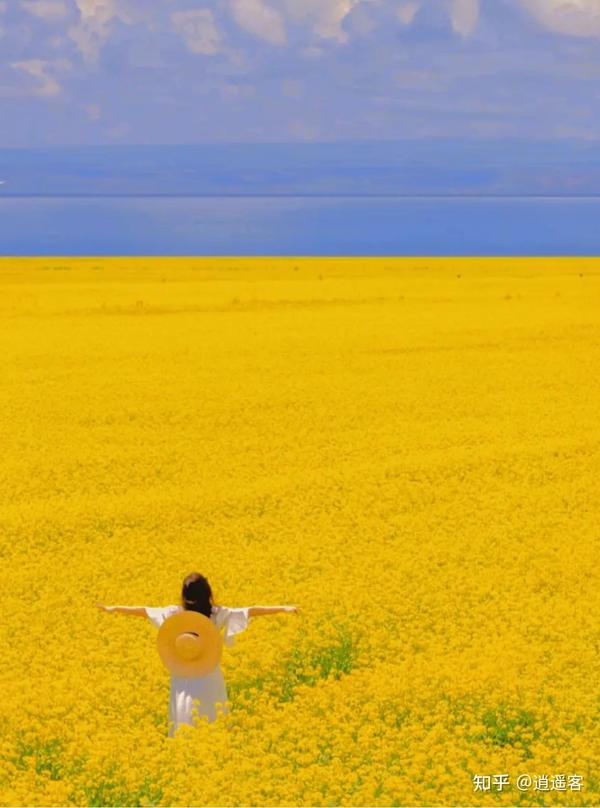 勇敢尝试和挑战 - 知乎