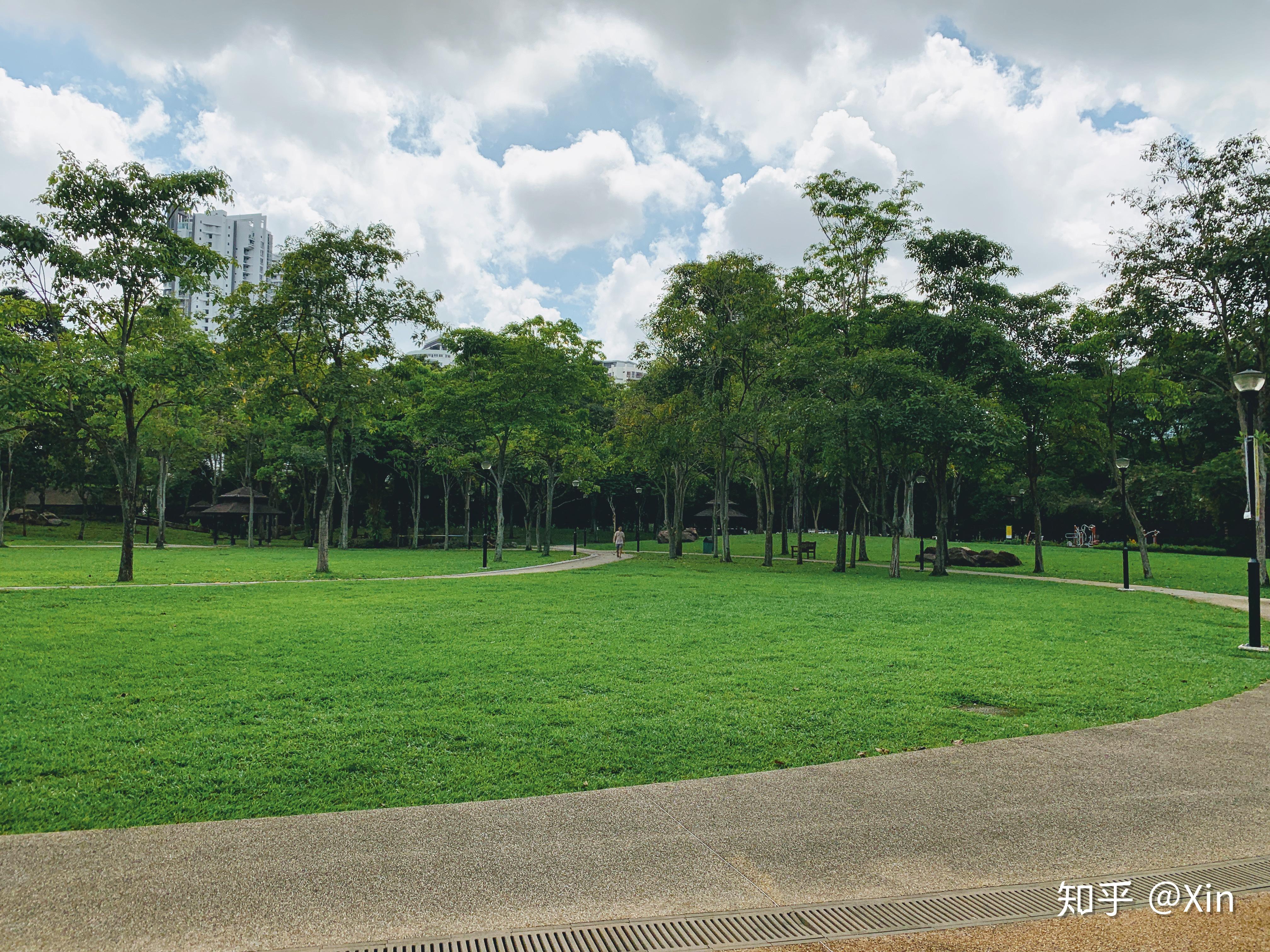 新加坡大巴窑市镇公园 toa payoh town park