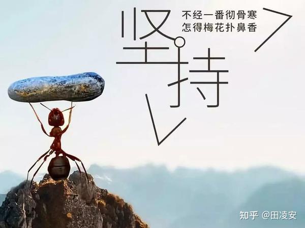 一部备受争议的杰作