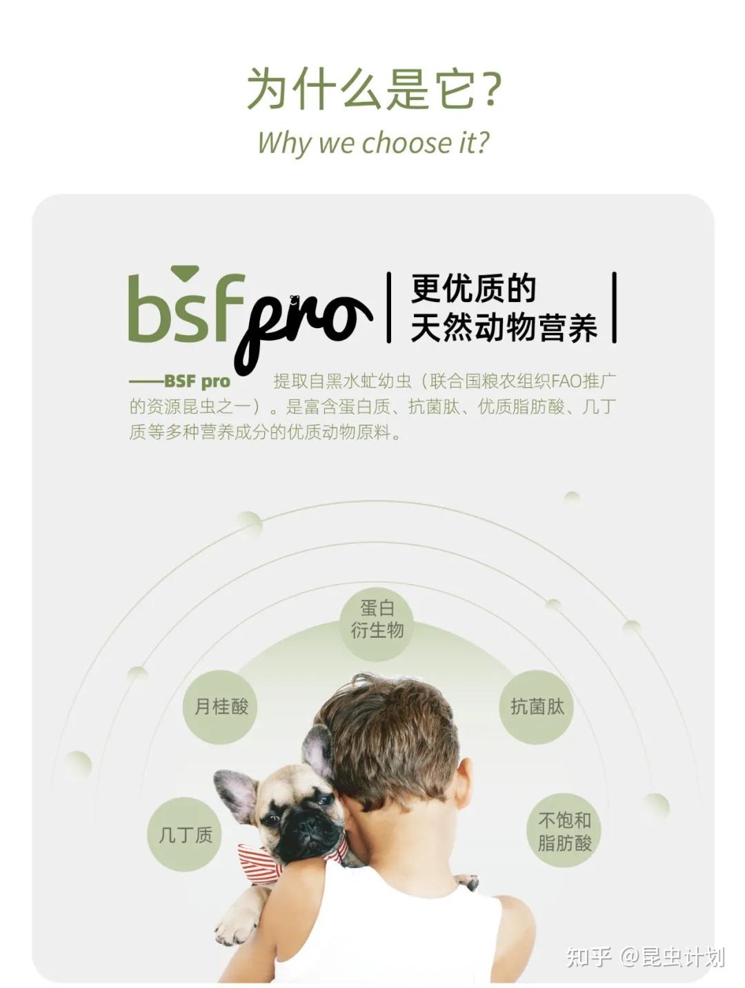 是富含蛋白质,抗菌肽,优质脂肪酸,几丁质等多种营养成分的优质动物