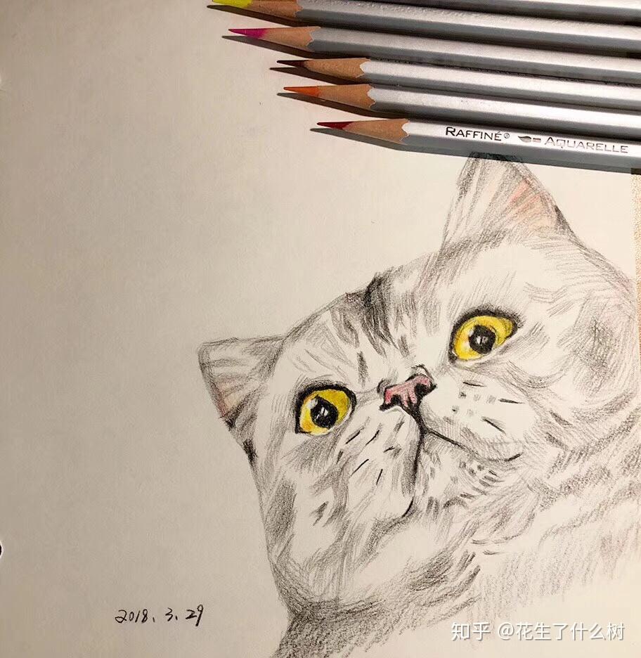 初中生画成这样还能有走美术路吗