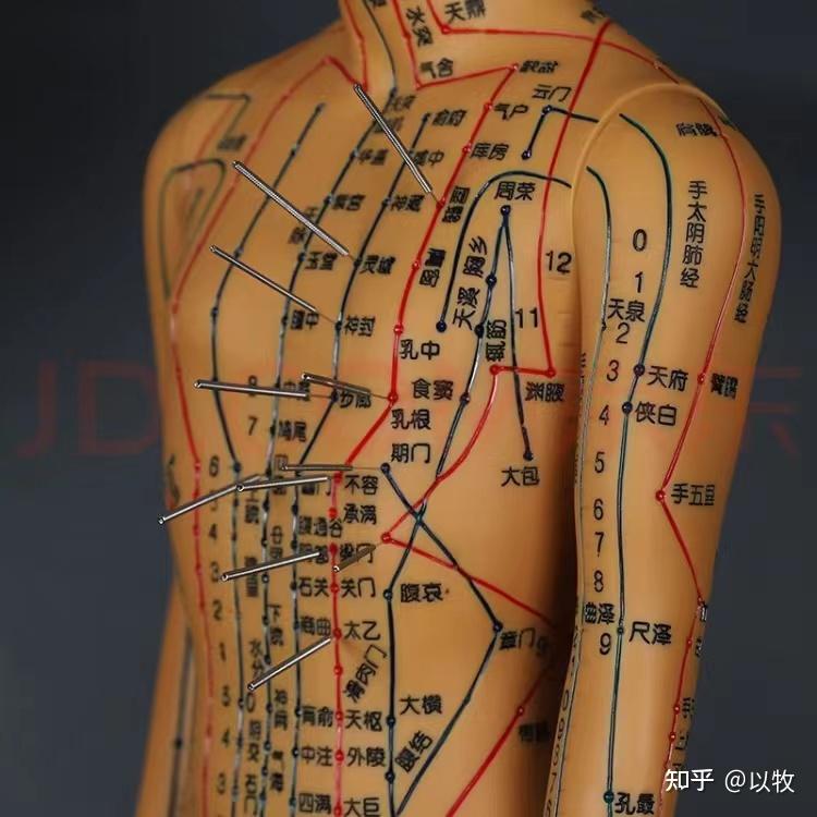 自学中医半年多的一点心得 - 知乎