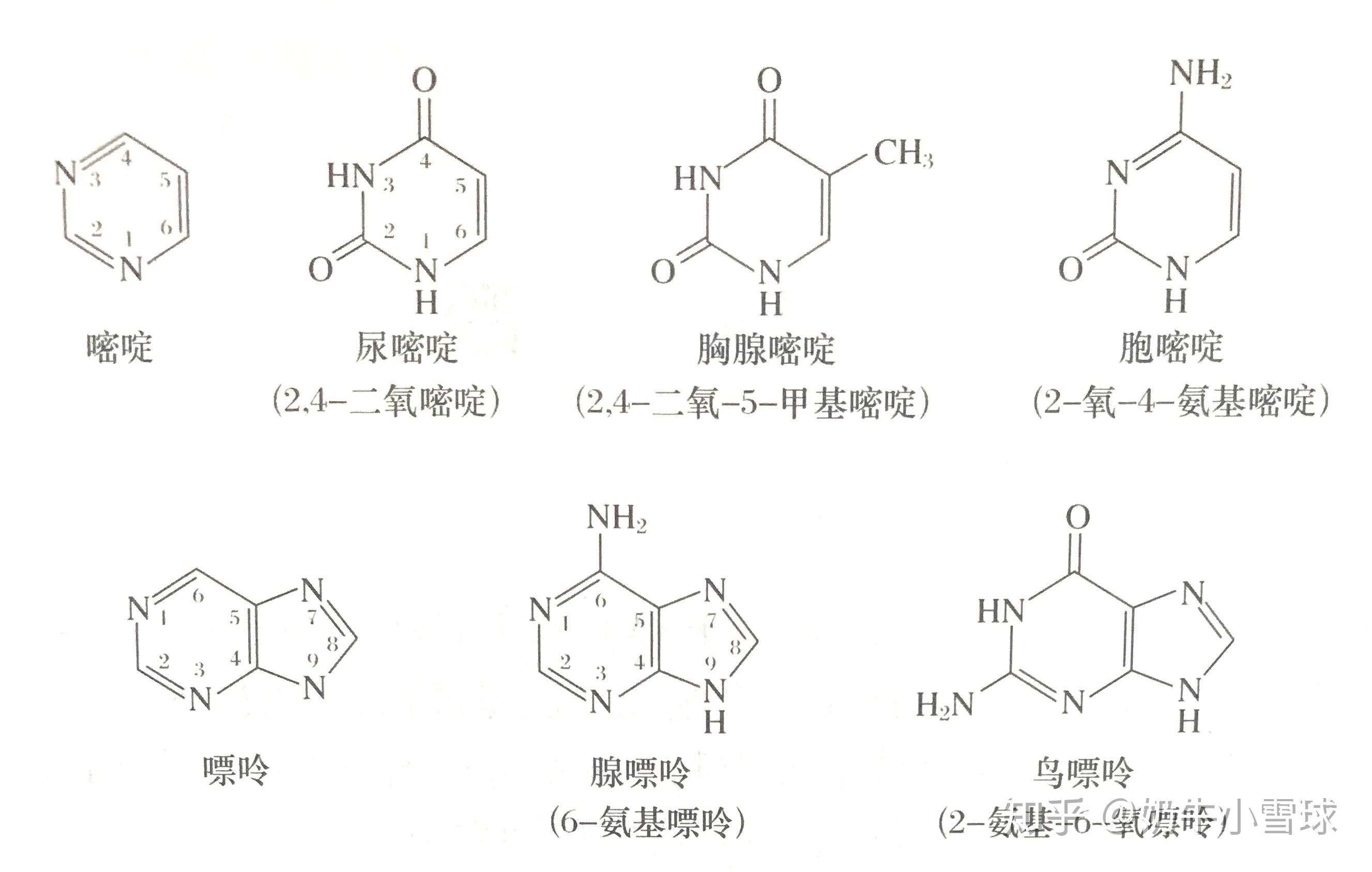 甜菊苷|57817-89-7|专业中药化学对照品及天然产物化合物库