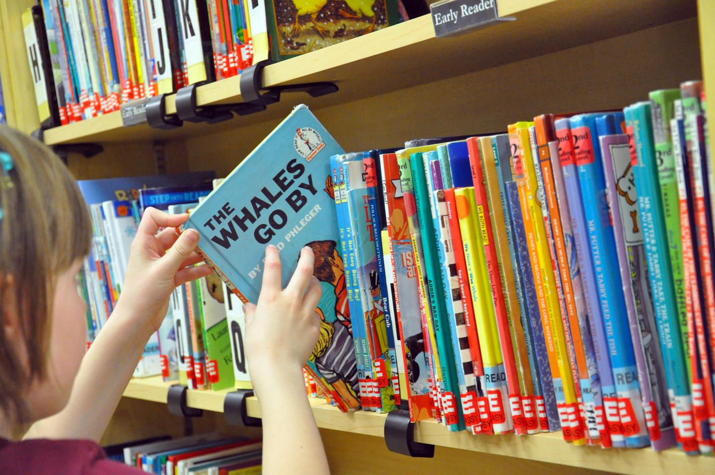 英语启蒙实操经验 3年让孩子零压力看完全英文动画片 知乎