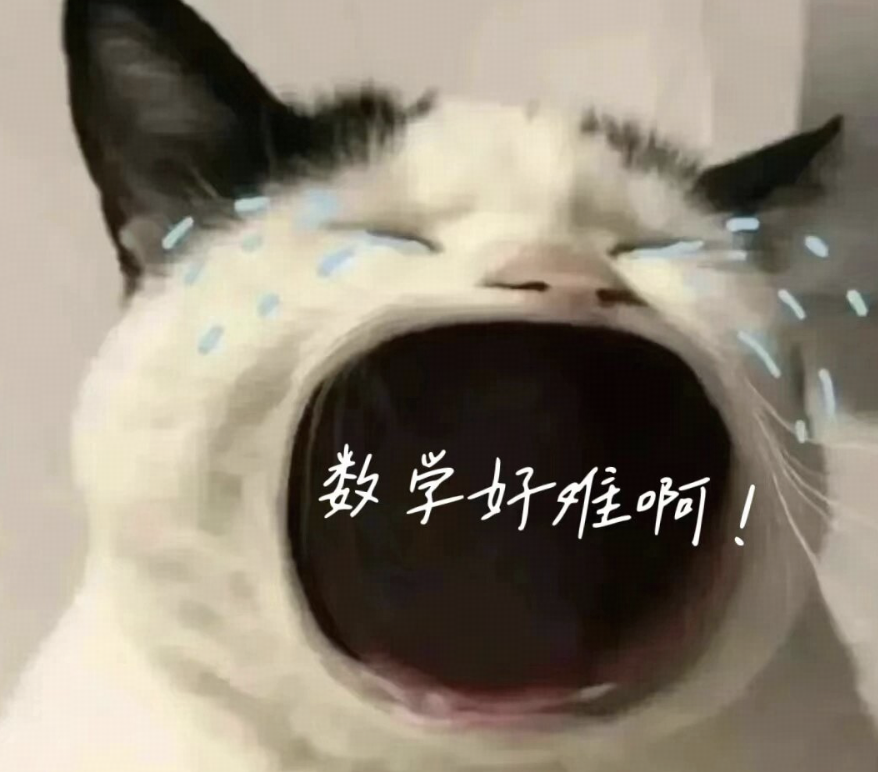 我现在高二，同学们都在学黎曼几何，交换代数，泛函分析等我听都没听过的东西，感觉压力好大，怎么办？