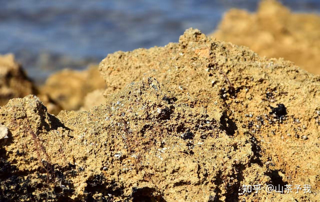 污泥建材化利用