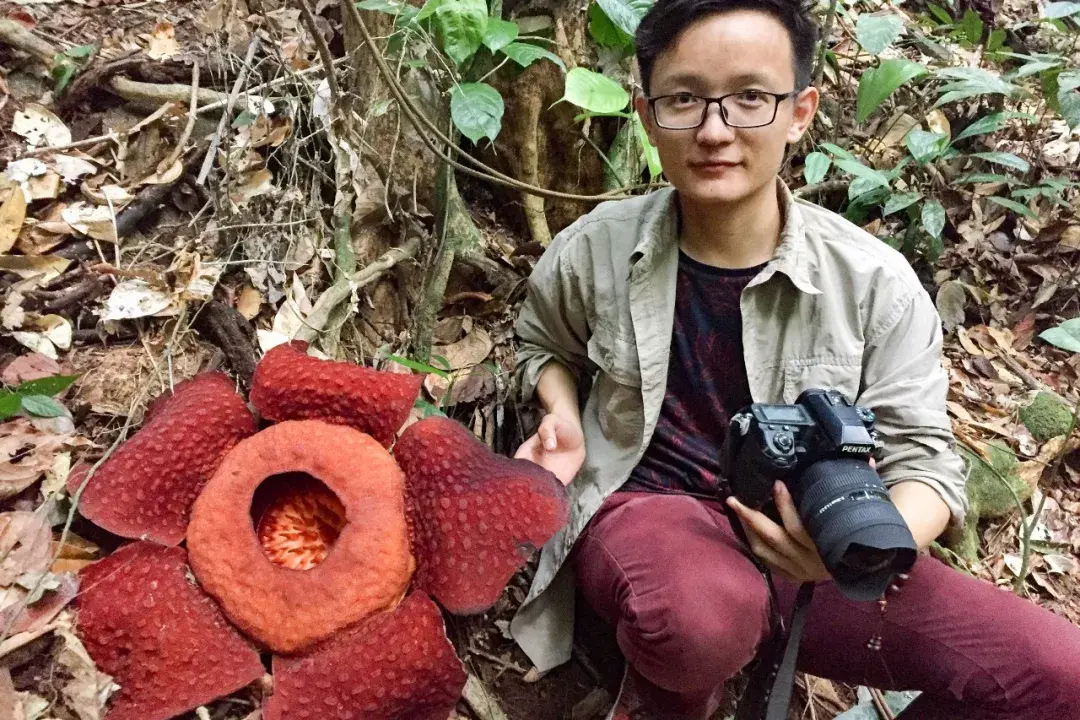 我先去了植物圣地婆罗洲,那里是东南亚物种多样性最高地之一.