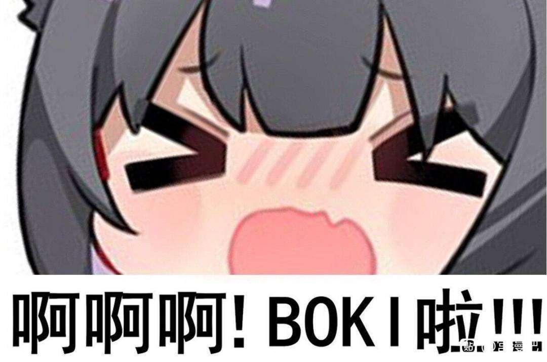 boki是什么意思