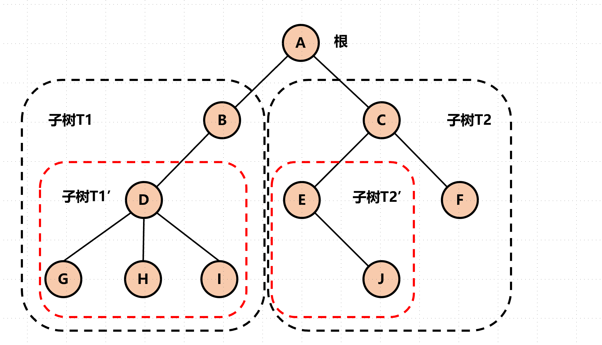 图解 数据结构：树和森林与二叉树的相互转换 知乎 5518