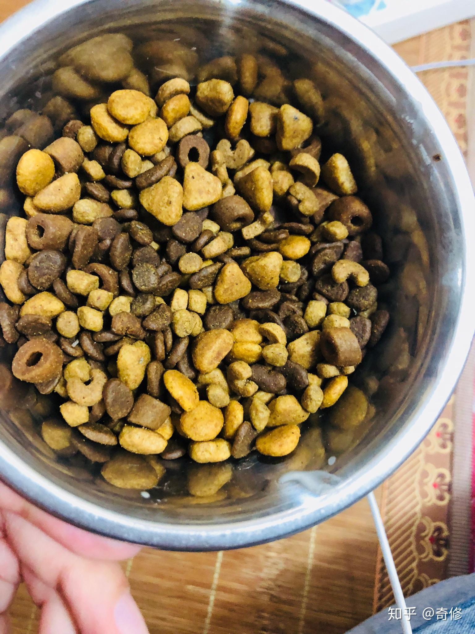 希维尔猫粮怎样?