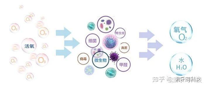 國家疾控局發現7例新冠病毒jn1變異株