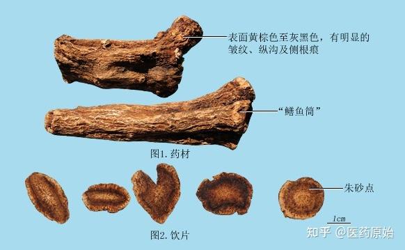 土木香十味汤散图片