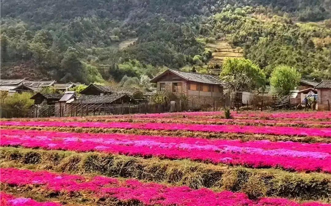 「玉龙雪山」是一个什么景点,有哪些推荐的游玩攻略和特色景观?-玉龙雪山著名景点