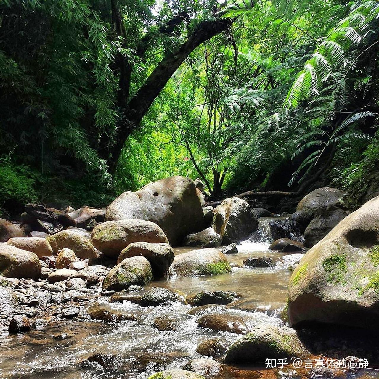 沉稳大气,却波澜不惊的人,早已历经沧桑,懂得苦乐自渡 - 知乎