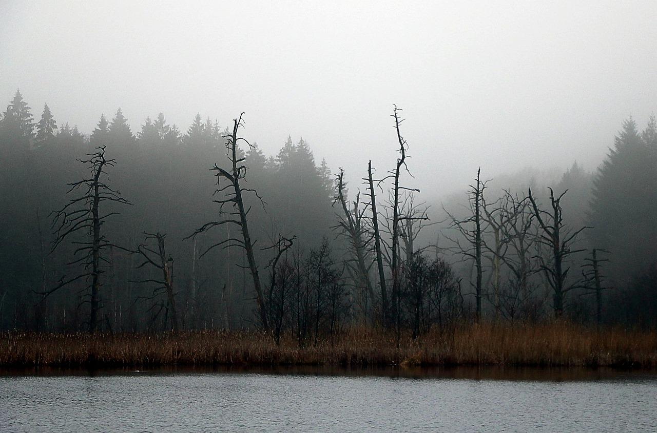 生态园林减噪音