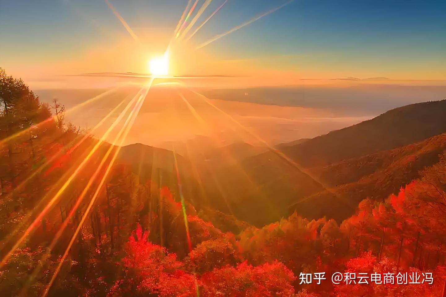 精神寄托不能在人的身上 - 知乎
