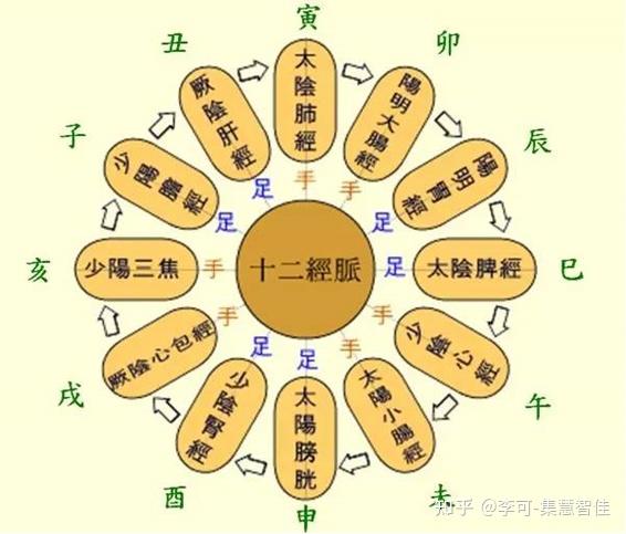 【外九篇】《黄帝内经》之中国人的十二时辰 - 知乎