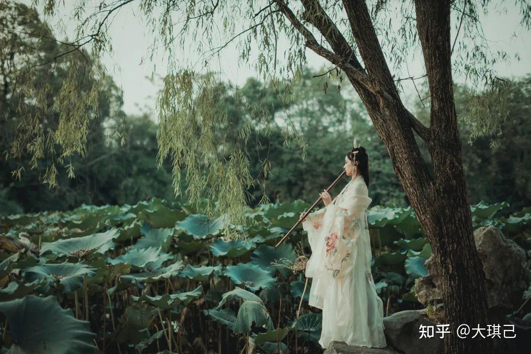 《庄子》笔下两棵树，原是世间两种人 - 知乎
