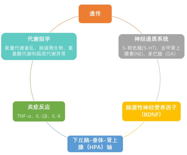 博罗夫斯基