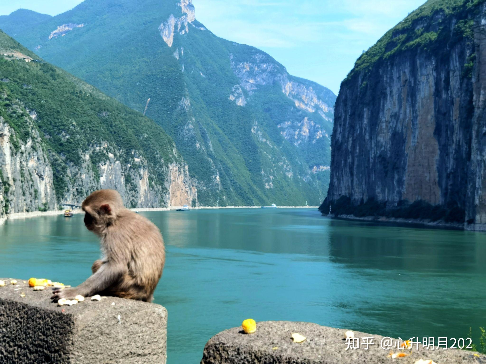 重庆五一周边旅游图片