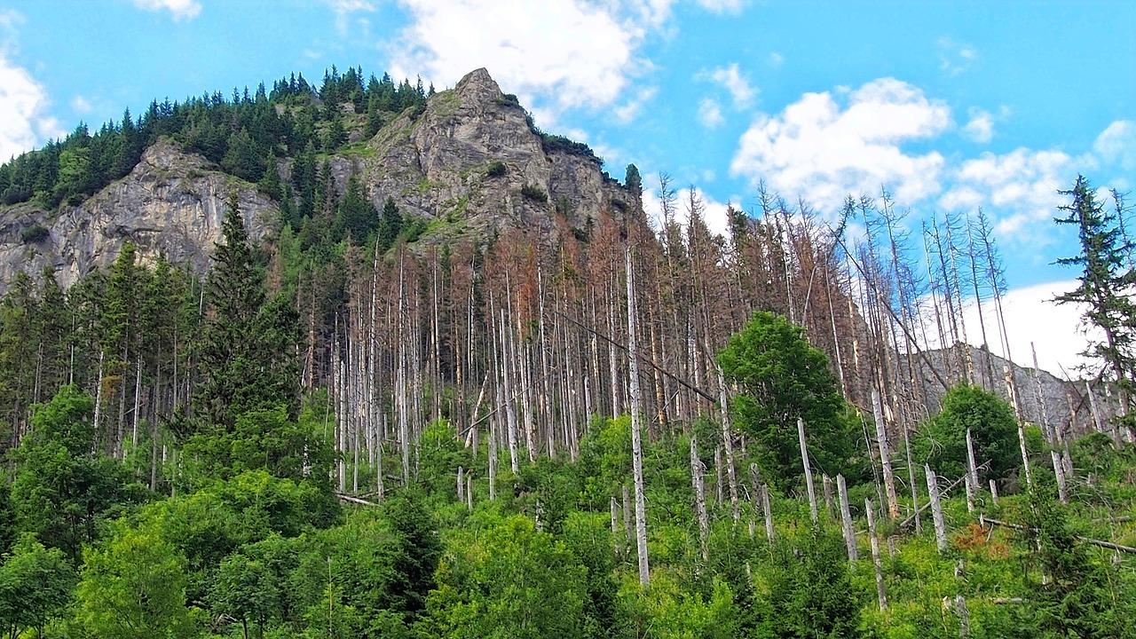 巴中平昌新房热销榜