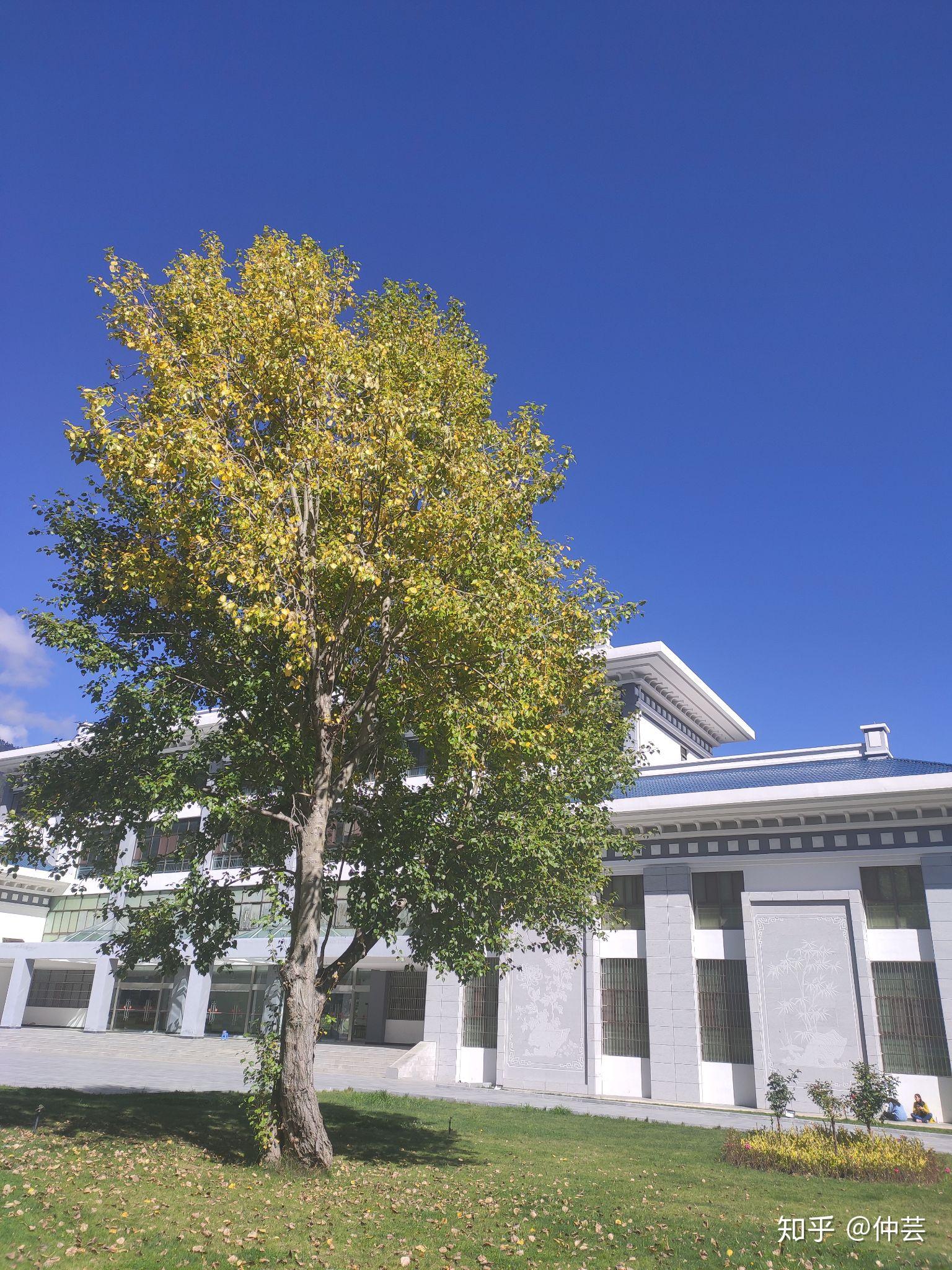 有没有大概了解点西藏农牧学院的啊?