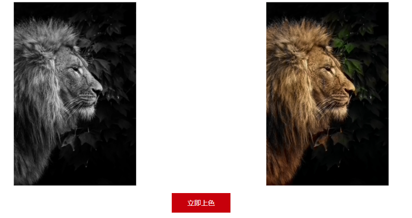 宝藏昇腾AI应用推荐!CANN带你体验黑白图像自动上色的快乐~ 宝藏昇腾AI应用推荐!CANN带你体验黑白图像自动上色的快乐~