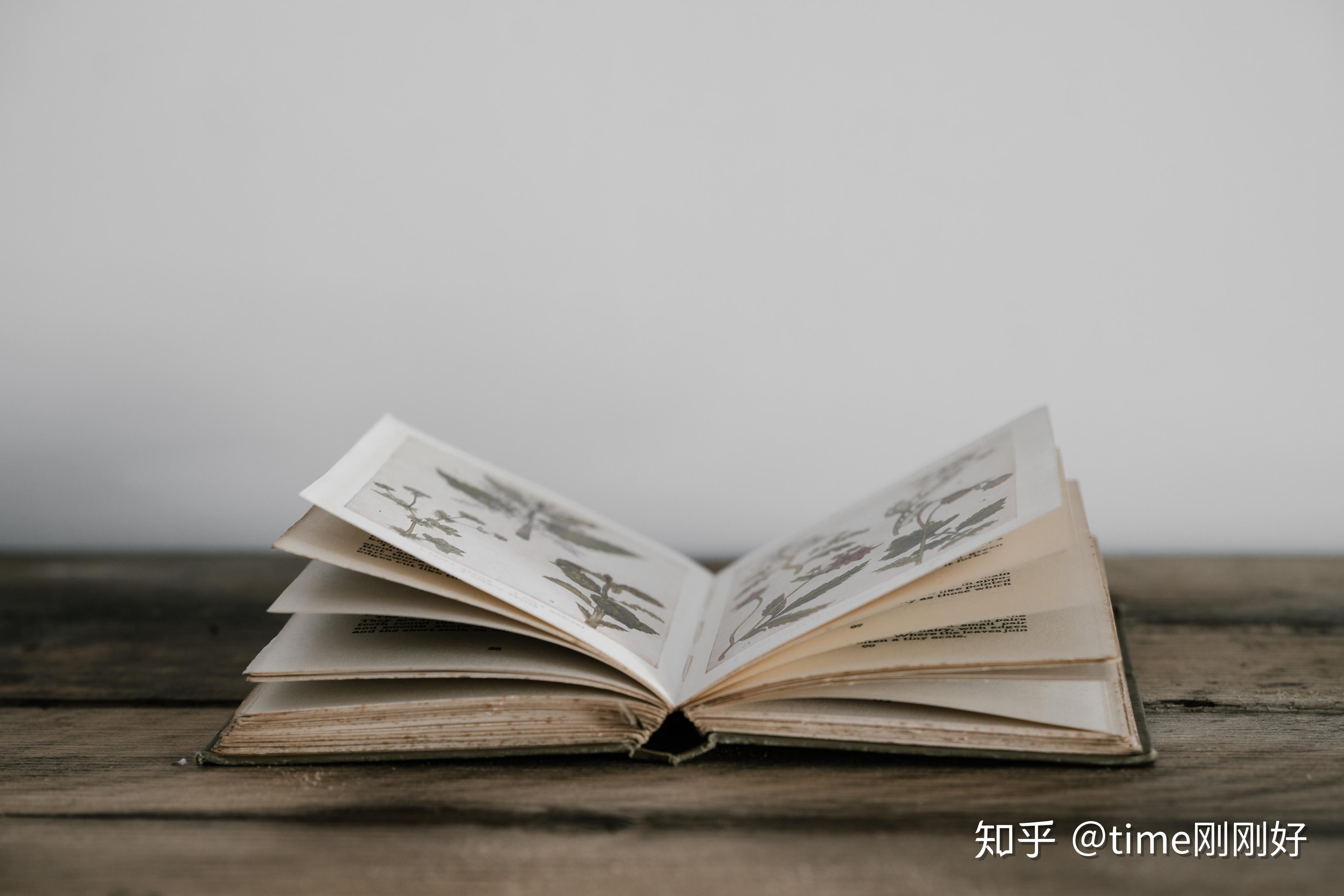 v2-9661872dc37982a3cce2d5da7b6ec1bc_r.jpg