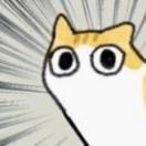 你礼貌吗