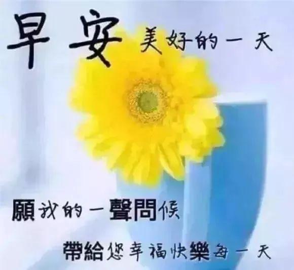 8月15日新的一天精美早上好祝福語句週末清晨早上好動態鮮花圖片帶字