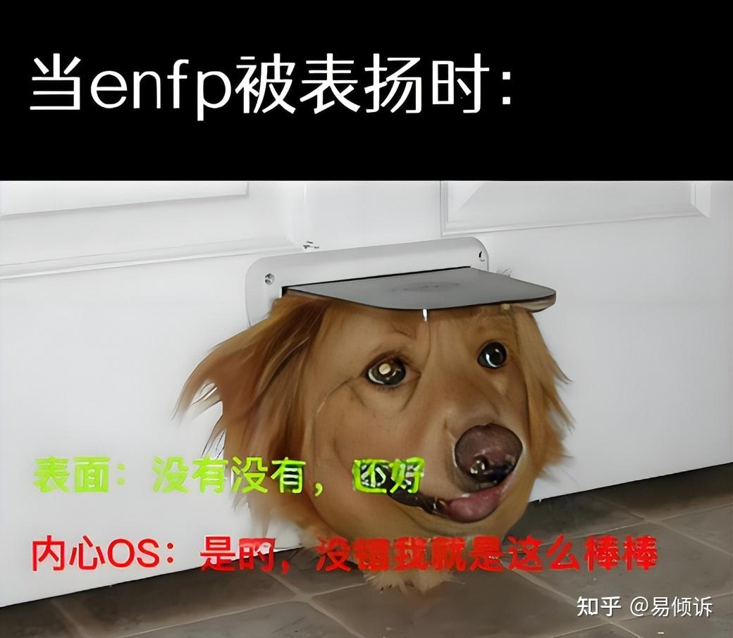 【MBTI】社交达人ENFP，为何拥有“快乐小狗”的昵称？ - 知乎