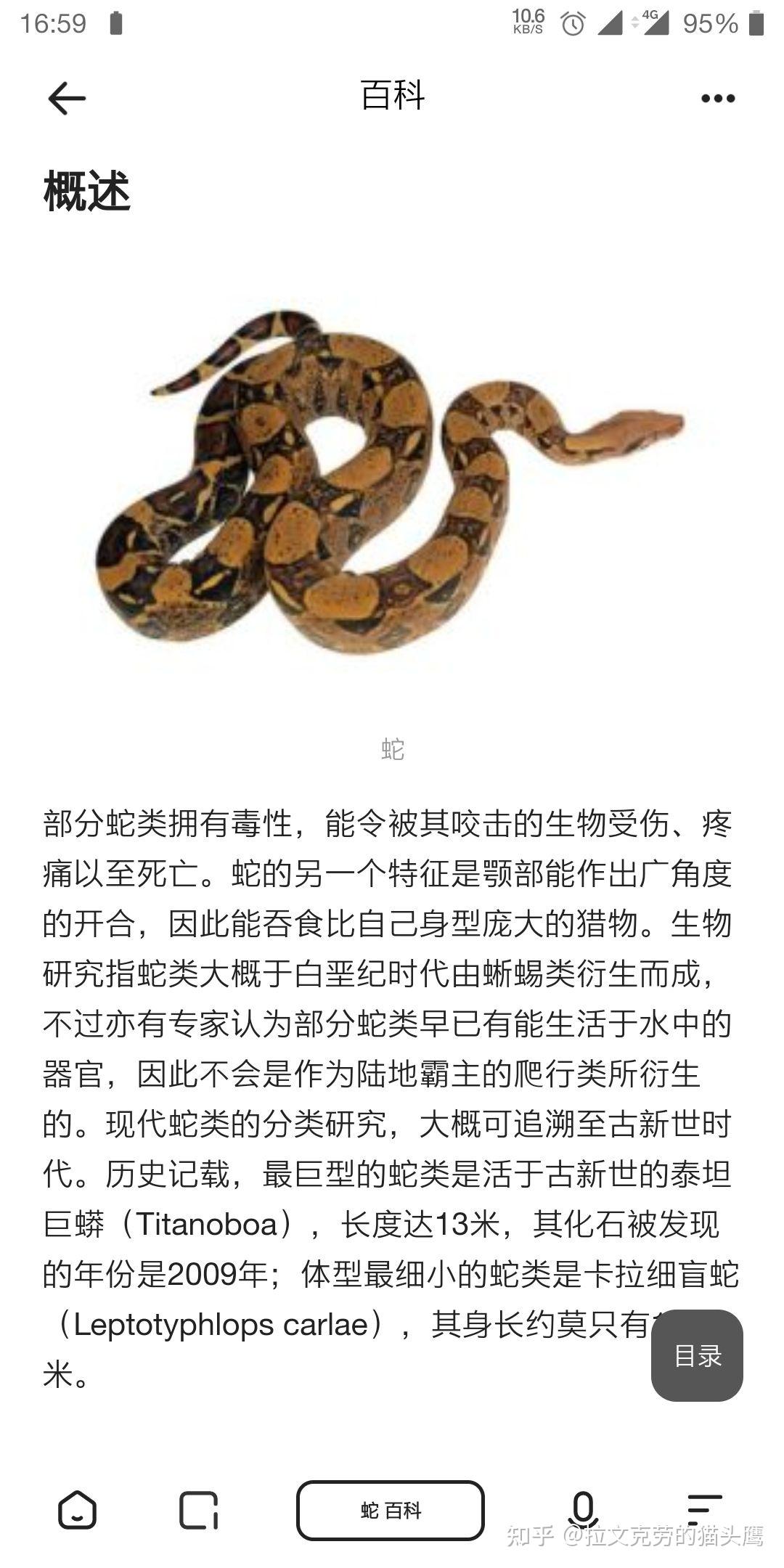 萨拉查斯莱特林为什么会蛇佬腔