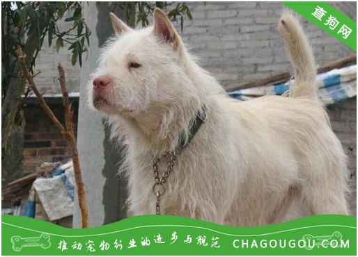 v2-9679e9da879dd8835a5a89af5de68d0a_1440w.jpg?source=172ae18b