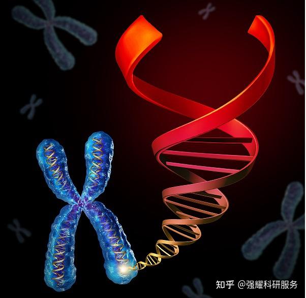 荧光标记技术原理 - 知乎