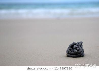 为什么大便总是一小坨一小坨的 v2-967aaa0fe73cbb53a8a466bdcadfd990_b.jpg